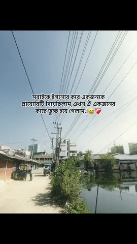 সবাইকে ইগনোর করে একজনকে প্রায়োরিটি দিয়েছিলাম,এখন ঐ একজনের কাছে তুচ্ছ হয়ে গেলাম.!😅❤️‍🩹#unlucky_boy_75 #foryouvideo #foryoupage #unfrezzmyaccount @TikTok Bangladesh 