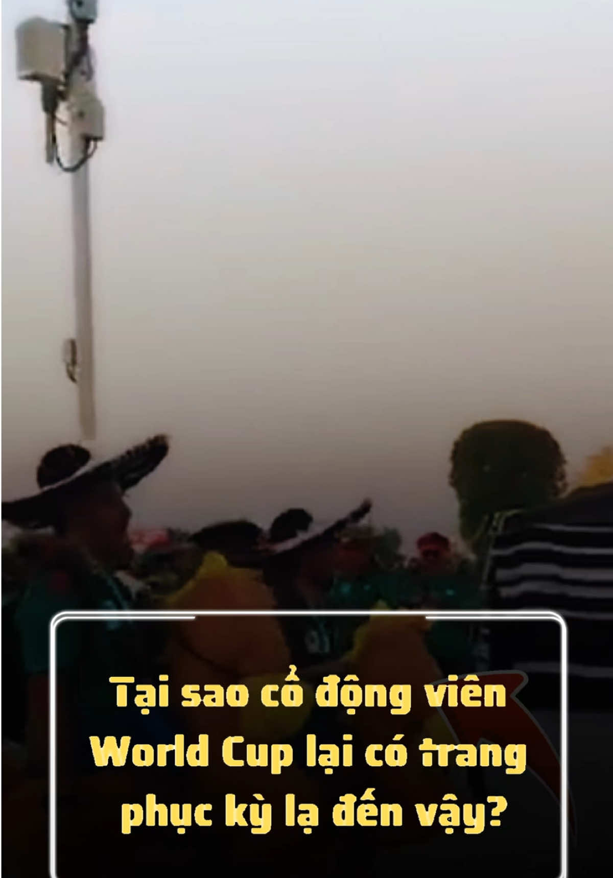 Tại sao cổ động viên World Cup lại có trang phục kỳ lạ đến vậy? #bongda #football #worldcup #foryou #fyp 