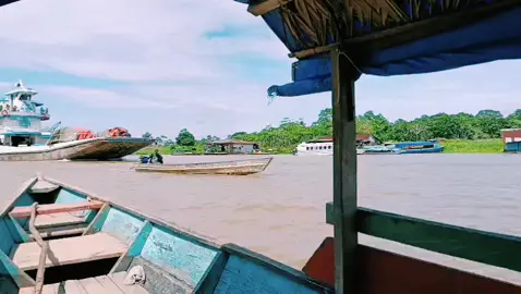 Amazonas 😍🦜🐒🐢🐊🐍🐬🛳️