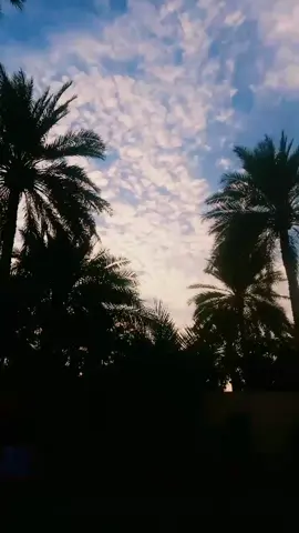 #مشاهدات #اكسبلور #اجواء_الشتاء #كربلاء #حسينيه 