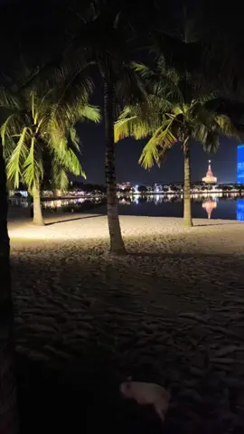 13.11.2025 #vinhomes #oceanpark #ocp1 #gialam #hanoi 