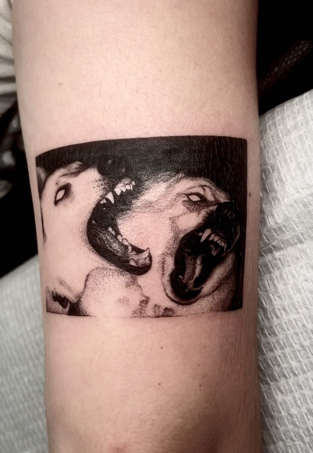 ig: jadextattoo dm to book🖤 #longisland #tattooideas #blackworktattoo #realismtattoo #newyork 