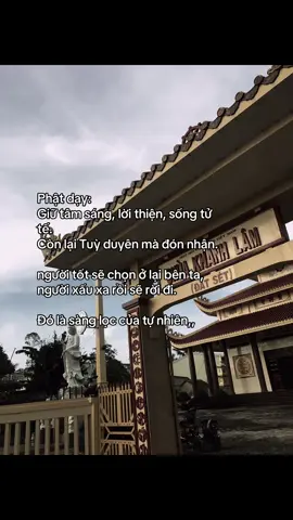 #nammodaibiquantheambotat #phatphapnhiemmau #nammoadidaphat #chuakhanhlamdatset 