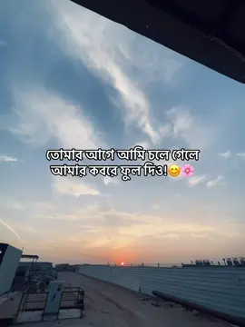 আমি হারিয়ে যাচ্ছি, আমি মরে গেলে- আমার কবরে ফুল দিও!😊❤️‍🩹