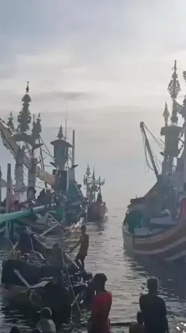 #mandala 8ton anak sarden#muncarbanyuwangi #nelayanindonesia #nelayanpengambenganbali #nelayanmuncar 