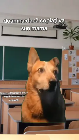 #Meme #MemeCut #CapCut 