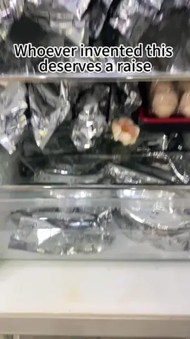 dge organization revolution! Aluminum foil storage bags lock in freshness and prevent odor transfer, freezer and oven safe, press-to-seal closure, reusable and eco-friendly, keeps food's #BlackTikTok #FYP #TRENDS #tiktok #tiktokshop 