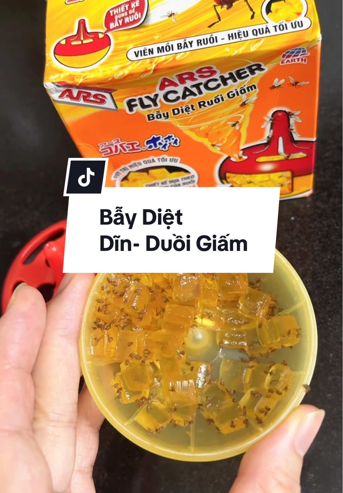 Dĩn dãn ruồi giấm nhà ai nhiều thì cứ vào đây #dĩn #dãn #condin #dietdin #contrung    