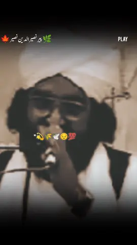 #پیرنصیرالدین_نصیرشاہ💖🙌🏻 #پیرنصیرالدین_نصیرشاہ #fyp 