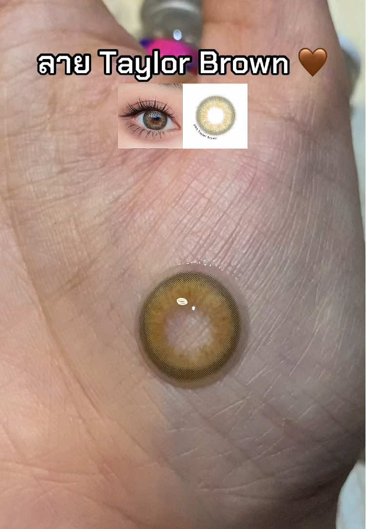 เท่าตา รายเดือน 👁️🤎