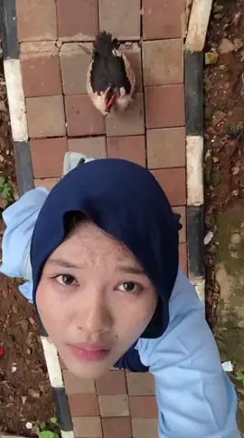 day 1 dibegal soang #songgil #fyp #fyppppppppppppppppppppppp 