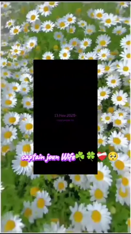 #army রা সারা দাও #Trending #captainjoun #vrial_video 