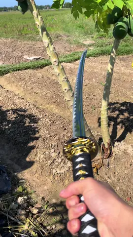 katanasd bản siêu dài chưa ăn cơm thôi không thì một phát thôi #xuhuong #mongxuhuong #hungyen89 