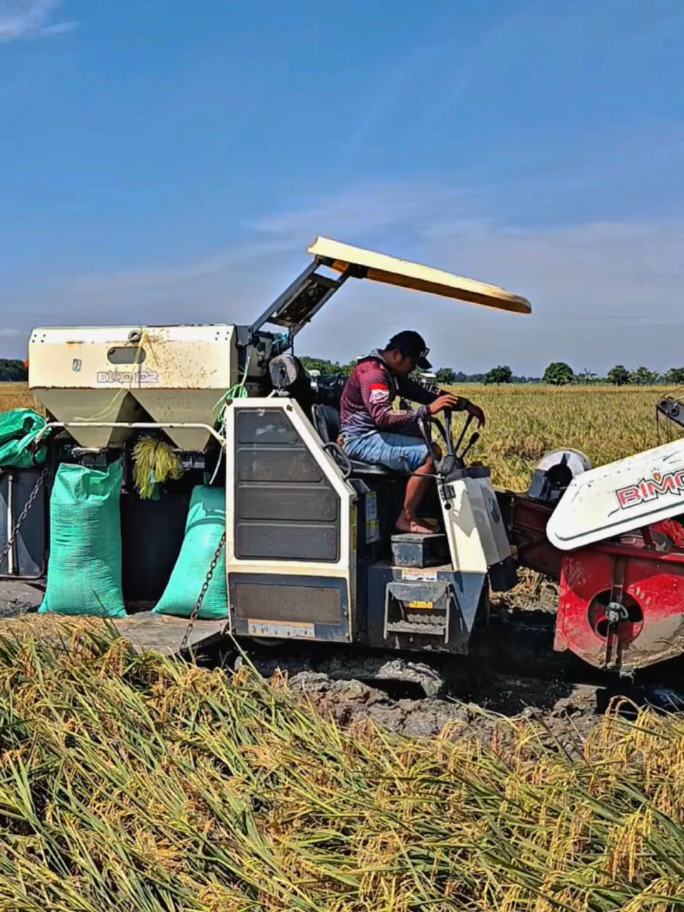 ketipu pl #combeneharvester  #combenherex #subang24jam #CapCut 