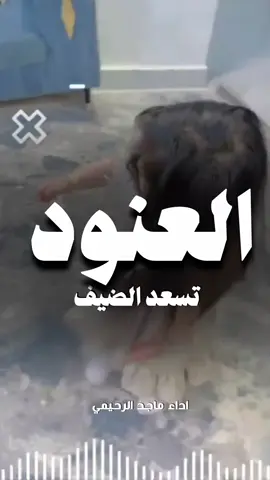 شيلة العنود تسعد الضيف السعودية🇸🇦قطر🇧🇭الامارات🇦🇪لكوي #الكويت🇰🇼 #الكويت🇰🇼🇸🇦السعوديه ##للطلب_الشيلات_والـــــــــــــــزفات_التواصل_معنا_وتساب_من_داخل_المملك-شيلات_زفات_تخرجات_مواليد_عقد_قران_مولوده_مولود_شيلات_خروج_من_ال. ر. ظظةسجن_شيلات_خروج-بسلامه-شيلات-شفاء_وسلامه_شيلات_تقاعد_تخرج_ملازم_تخرج_عسكري_تخرج_من_الدفاع_المدني_الكويت_قطر_السعودية_الامارات_البحرين_الكويت_الرياض_المدينه_ابها_شيلات_حماسيه_طرررب_شيلات_عـــــرسان_شيلات_ام_العروس_شيلات_ام_العروسه_شيلات_خطوبه_زفات_بالاسماء_زفات_بدون-اسماء-كتابة_كلمات_جديدة_0541846907_من-خارج_المملكه_ 0541846907-استديو_راوين_لتنفيذ_الشيلات_والزفات_والقصائد_الشعريه_لجميع_المناسبات_شيلات_مهنا_العتيبي_فهاد_العلي_النايف_فواز_العنزي_شيلات_بنت_ابوها_شيلة_شامخه_بنت_ابوها_الرياض_جده_مكه_المكرمه_ابها_قطر_البحرين_الكويت_الامارات_شيلات_سعد_محسن_شيلات_ناصر_السيحاني_شيلات_عز_السعود_شيلات_قايد_الوبيري_2024_شيلات_فلاح_المسردي_شيلات_الجفراني_شيلات_بندر_بن_عوير_فهد_بن_فصلا_محمد_بن_غرمان_جديد_كتابة_كلمات_جديدة_0541846907_من-خارج_المملكه_00966541846907_استديو_لمسات#للطلب_الشيلات_والـــــــــــــــزفات_التواصل_معنا_وتساب_من_داخل_المملك-شيلات_زفات_تخرجات_مواليد_عقد_قران_مولوده_مولود_شيلات_خروج_من_السجن_شيلات_خروج-بسلامه-شيلات-شفاء_وسلامه_شيلات_تقاعد_تخرج_ملازم_تخرج_عسكري_تخرج_من_الدفاع_المدني_الكويت_قطر_السعودية_الامارات_البحرين_الكويت_الرياض_المدينه_ابها_شيلات_حماسيه_طرررب_شيلات_عـــــرسان_شيلات_ام_العروس_شيلات_ام_العروسه_شيلات_خطوبه_زفات_بالاسماء_زفات_بدون-اسماء-كتابة_كلمات_جديدة_0541846907_من_خارج_المملكه_ 00966541846907-استديو_لمسات_أحلامي_لتنفيذ_الشيلات_والزفات_والقصائد_الشعريه_لجميع_المناسبات_شيلات_مهنا_العتيبي_فهاد_العلي_النايف_فواز_العنزي_شيلات_بنت_ابوها_شيلة_شامخه_بنت_ابوها_الرياض_جده_مكه_المكرمه_ابها_قطر_البحرين_الكويت_الامارات_شيلات_سعد_محسن_شيلات_ناصر_السيحاني_شيلات_عز_السعود_شيلات_قايد_الوبيري_2024_شيلات_فلاح_المسردي_شيلات_الجفراني_شيلات_بندر_بن_عوير_فهد_بن_فصلا_محمد_بن_غرمان_جديد_كتابة_كلمات_جديدة_0541846907_من-خارج_المملكه_00966541846907_استديو_لمسات#للطلب_الشيلات_والـــــــــــــــزفات_التواصل_معنا_وتساب_من_داخل_المملك-شيلات_زفات_تخرجات_مواليد_عقد_قران_مولوده_مولود_شيلات_خروج_من_السجن_شيلات_خروج-بسلامه-شيلات-شفاء_وسلامه_شيلات_تقاعد_تخرج_ملازم_تخرج_عسكري_تخرج_من_الدفاع_المدني_الكويت_قطر_السعودية_الامارات_البحرين_الكويت_الرياض_المدينه_ابها_شيلات_حماسيه_طرررب_شيلات_عـــــرسان_شيلات_ام_العروس_شيلات_ام_العروسه_شيلات_خطوبه_زفات_بالاسماء_زفات_بدون-اسماء-كتابة_كلمات_جديدة_0541846907_من-خارج_المملكه_00966541846907-استديو_راوين_لتنفيذ_الشيلات_والزفات_والقصائد_الشعريه_لجميع_المناسبات_شيلات_مهنا_العتيبي_فهاد_العلي_النايف_فواز_العنزي_شيلات_بنت_ابوها_شيلة_شامخه_بنت_ابوها_الرياض_جده_مكه_المكرمه_ابها_قطر_البحرين_الكويت_الامارات_شيلات_سعد_محسن_شيلات_ناصر_السيحاني_شيلات_عز_السعود_شيلات_قايد_الوبيري_2024_شيلات_فلاح_المسردي_شيلات_الجفراني_شيلات_بندر_بن_عوير_فهد_بن_فصلا_محمد_بن_غرمان_جديد_كتابة_كلمات_جديدة_0541846907_من-خارج_المملكه_00966541846907-استديو_راوين