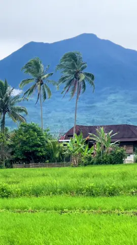 Kampung halaman #besemahlibagh #gunungdempo #sumateraselatan #gunungindonesia #gunung 