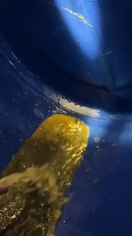 Caerrr🥴🤑#fyppppppppppppppppppppppp #tambangemas #bosemas #bosmuda #fypシ゚ 