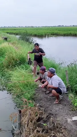 di titik ini kesabaran lelaki si uji🤣