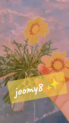 اَناَوَقلبُي نعّش۫ق اَلوَࢪد بُڪِل تفِاَص۪يلۿ وَاَش۫ڪِاَلۿ ̣؍... ..♥️🌼#ورداتي🥺🌸💝 #طرابلس_بنغازي_المرج_البيضاء_درنه_طبرق #سبها_ليبيا_الجنوب_الليبي 