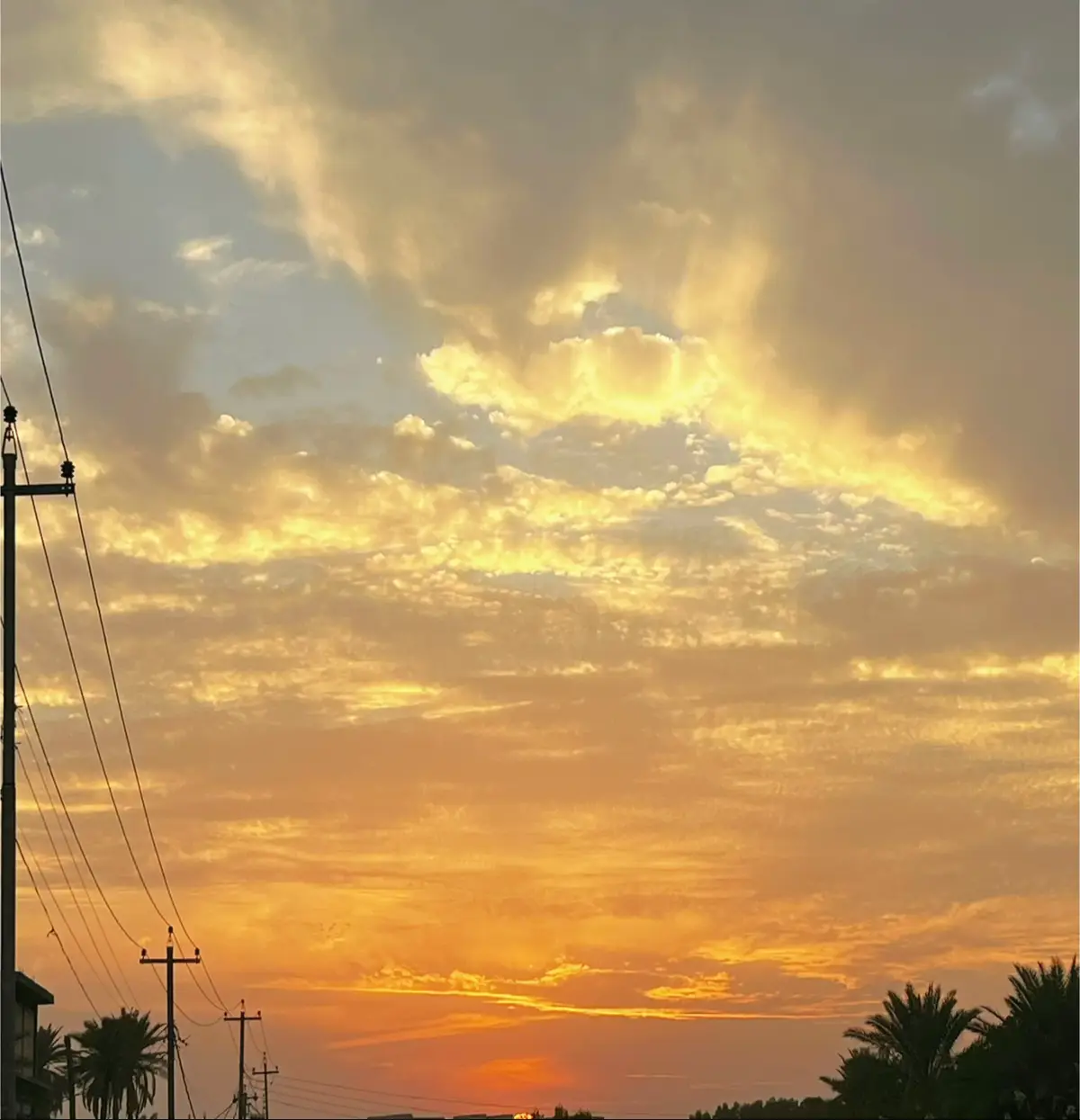 الجو يخبل اليوم #🌸 #🌤️ 