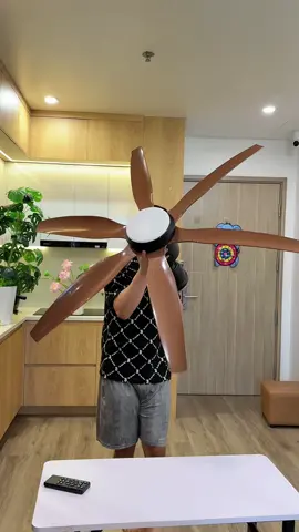 Quạt trần 6 cánh nâu vân gỗ #quattran #quattranden #nhanuytin88 