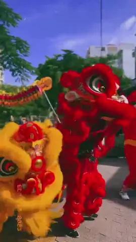 Múa lân khai trương hồng phát#dichvumualan #mualankhaitruong #sukienbaoan 