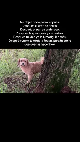 El “después” siempre llega… y casi nunca llega a tiempo