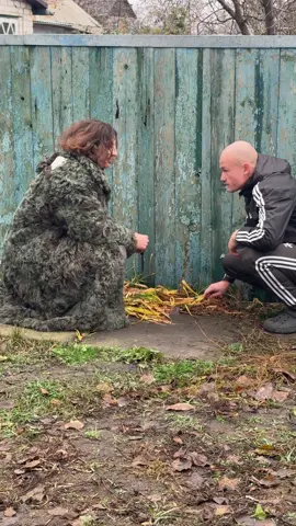 Мой ТГ в шапке профиля 