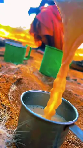 #الخريف_والجو_الجميل🍁🍂 #تصويري_احترافي_الاجواء👌🏻🕊😴 