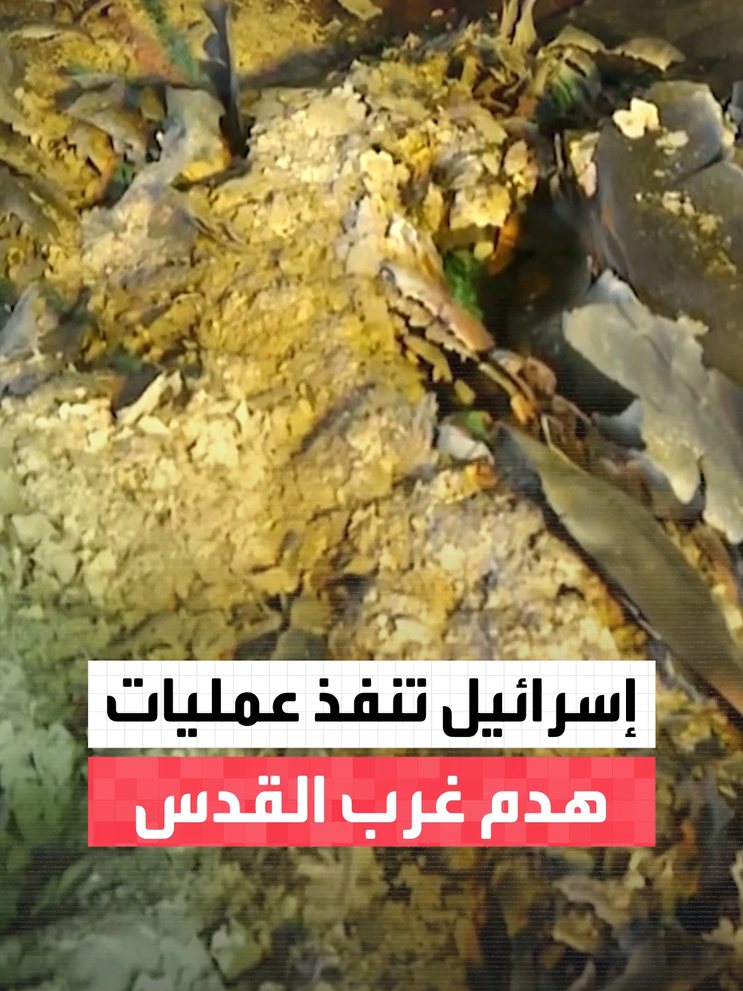 بالتزامن مع حملة اعتداءات من قبل المستوطنين .. القوات الإسرائيلية تقتحم وتعتقل فلسطينيين في عدد من مدن #الضفة_الغربية وتنفذ عملية هدم غرب #القدس #نشرة_الخامسة #قناة_العربية