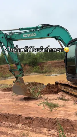 ก็ไม่เคยทำไห้ผิดหวัง 🤣 🌼#tik_tok #ดอกไม้ริมทาง#pov#คอนเทนต์คอนใจ#สวนผึ้ง 