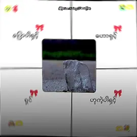 အရေတွေပျော်လို့#froyou #flyppppppppppppppppppppppppppppppp #ဒီအချိန်တင်တော့viewကောတက်ပါ့မလား😞😟 #viweမတတ်ရင်ပြန်ဖျက်မယ်↔😑 