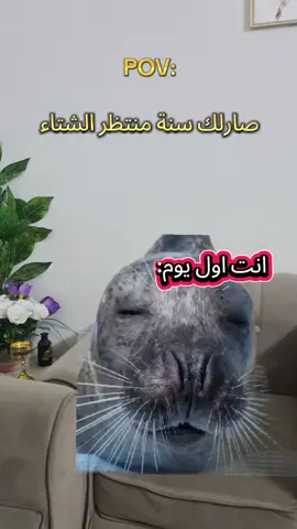 صارلك سنة منتظر الشتاء