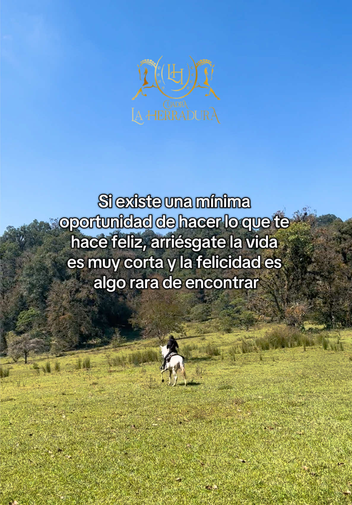 • Recorridos guiados •Venta y Renta de caballos • Clases de monta • Conexión real  📅 Agenda tu experiencia, dudas o cotiza 📲 WhatsApp +52 5658780221 📍Banderilla, Veracruz  #xalapa #banderilla #caballos #arriesgarse #monta 