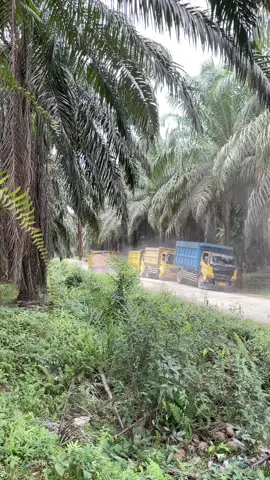 Pulang interior bisa untuk melukis😅@setiawan234 @ridhobadot106 @harry gus indra @Bg Tan @PUTUNE MBAH LONO🚫 @suryakusuma5832 #promomakan1111 #soundviraltiktok #fypシforyou #drivermudapunyacerita #fypシ゚viral 