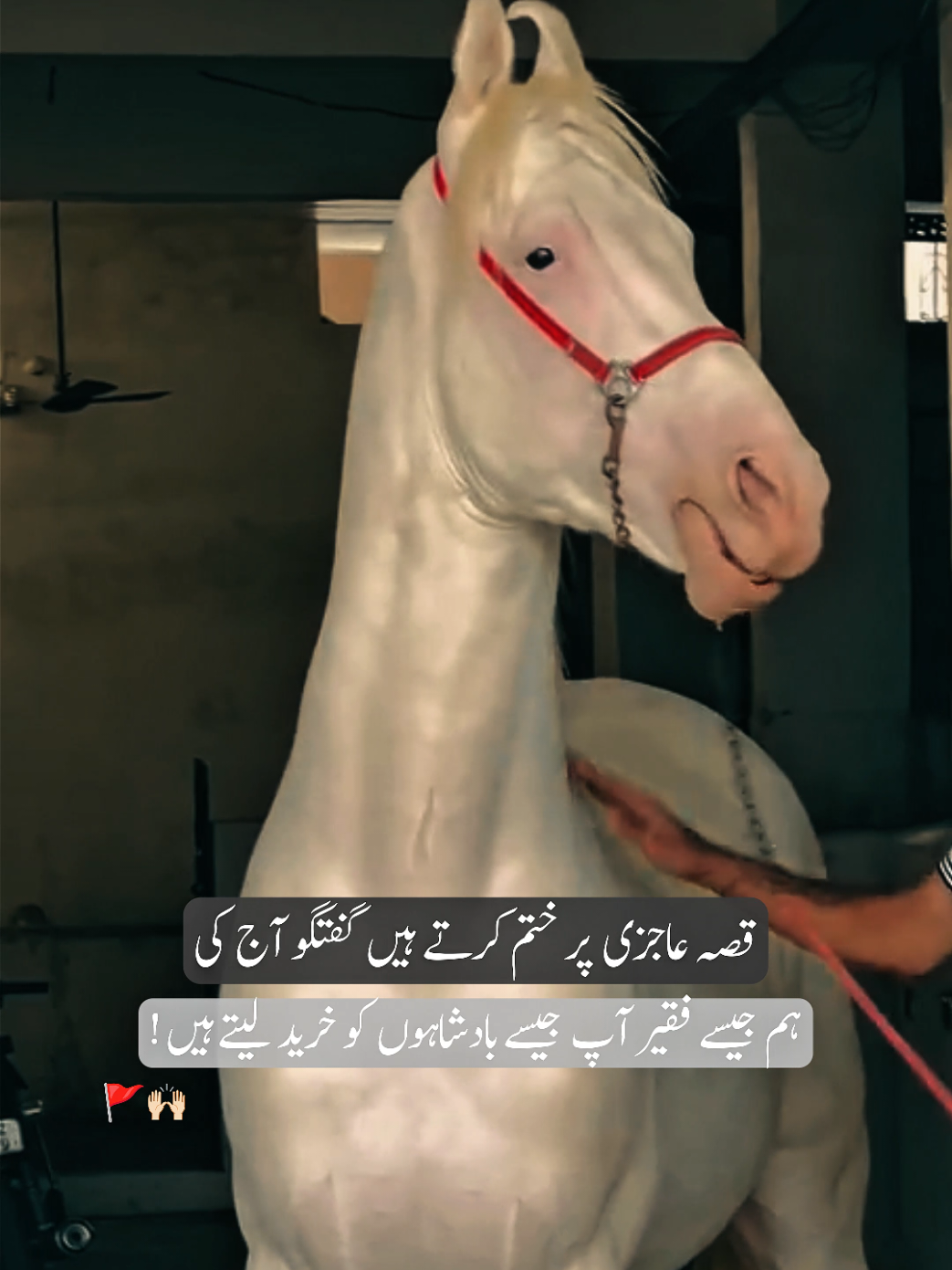 Bilkul 🚩🙌🏻 #horse #fyp #poetrystatus #statusvideo #reallines 