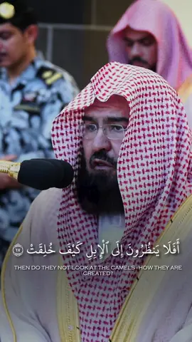 ﴿أَفَلا يَنظُرونَ إِلَى الإِبِلِ كَيفَ خُلِقَت﴾ #عبدالرحمن_السديس #الحرم_المكي #islamic_video #سورة_الغاشية #مكة 