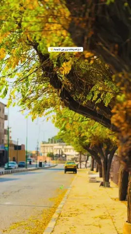 تقيمكم من 10🥲🌼.#تصويري #حارم #ادلب #سوريا #fyp 