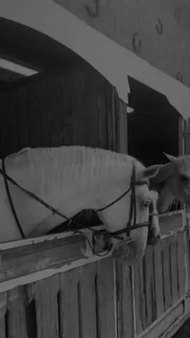 غـیر انت حـب الـروح♥️ #foryou #viral #fypシ゚ #foryoupage #fyppppppppppppppppppppppp 