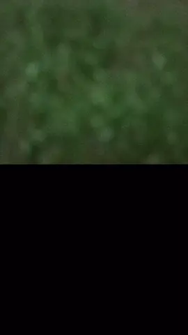 #يروون_بأنك_مطلع_ليلة_الجمعة #ياصاحب_الزمان #لبيك_يامهدي #ليلة_الجمعة #شيعة_علي 