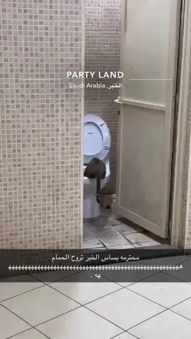 #اكسبلور #goviral #مالي_خلق_احط_هاشتاقات #الشعب_الصيني_ماله_حل😂😂 #viral 