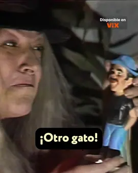El Chavo se hace pasar por un gato 🐱 🤭 El Chavo is on @unimás.🤩 ¡Síganme los buenos! ✨ #EnViX #Chavoland #ViX #ChavoDel8 #TVRetro #Retro #ChespiritoPorSiempre #QueBonitaVecindad #ElChavoDel8 #Novelas #RobertoGomezBolaños #ElChavoDelOcho #comedia #humor #LaVecindadDelChavo #seriesmexicanas #Quico #LaChilindrina #Ñoño #Chespirito #DoñaFlorinda #Diversión #DonRamón #SeñorBarriga #humoristas #70s #70spopculture #80ssitcoms #classicTV #Clippeo