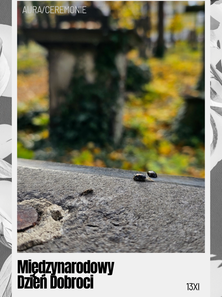 #worldkindnessday #dzieńdobroci #światowydzieńdobroci 