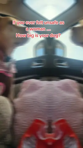 Women... If you've ever felt unsafe... How big is your dog? #realtalk #question #women #safety #dog 