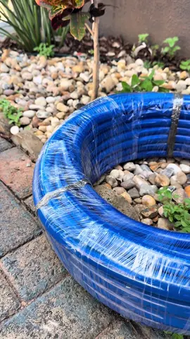 Mangueira 3/4 jardinagem! #jardinagem #fyp #mangueira #jardim #produtorrural 