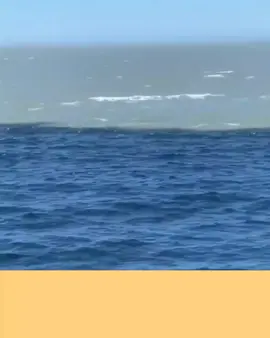 ইসলামিক সব ধরনের বই সল্প দামে পেয়ে যাবেন আমাদেত কাছে। অর্ডার করতে ইনবক্স করুন।  #islamicreminder273 #ইনশাআল্লাহ_যাবে_foryou_তে। #ইসলামিক_ভিডিও_🤲🕋🤲 #foryoupageofficiall #foryoupage @TikTok Bangladesh @TikTok @For You 