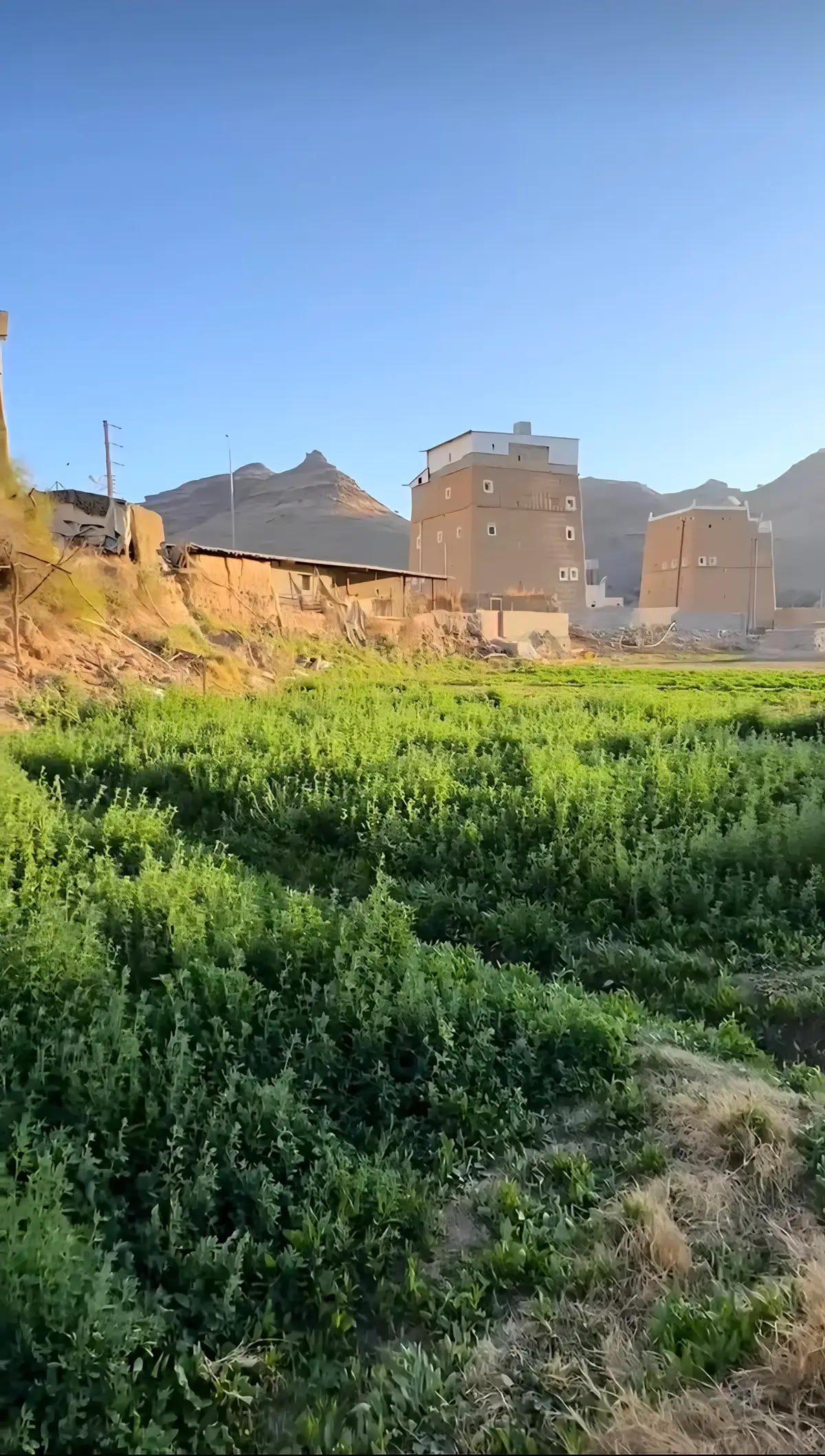 #الماضي #الطبيعه #الحنين 