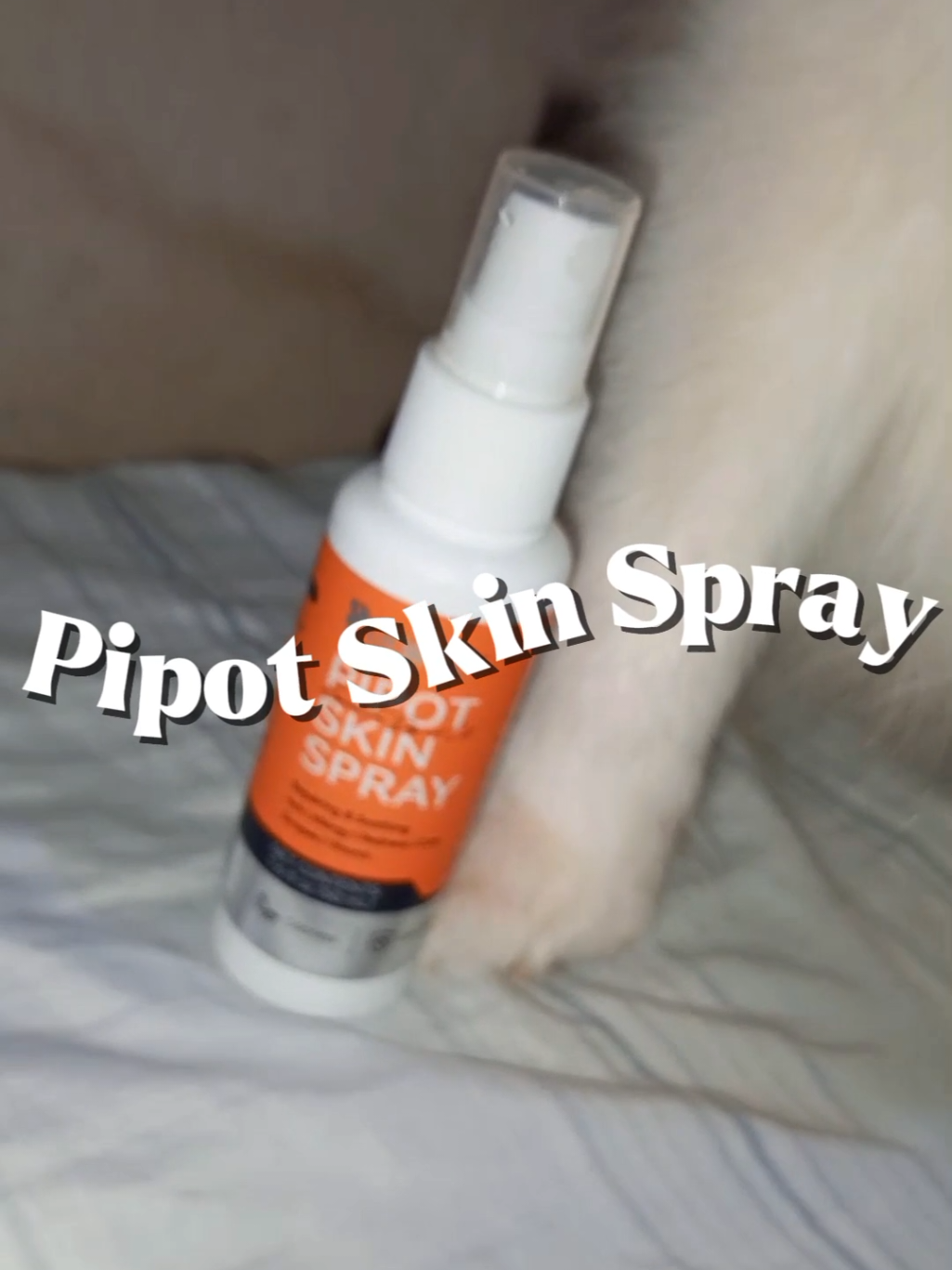 Pipot Skin Spray from @puainta  Repairing and Soothing Itch, allergy, redness, cuts, scrapes, wound ✅Odorless ✅Lick-safe ✅Botanical Extracts #pauainta #pipotskinspray #petskinspray #puaintaph 