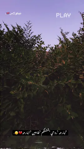 #محمد_دواي محمد دواي #موالات_حزينة_عراقية💔 #طرب #اغاني #جواد_الساعدي 