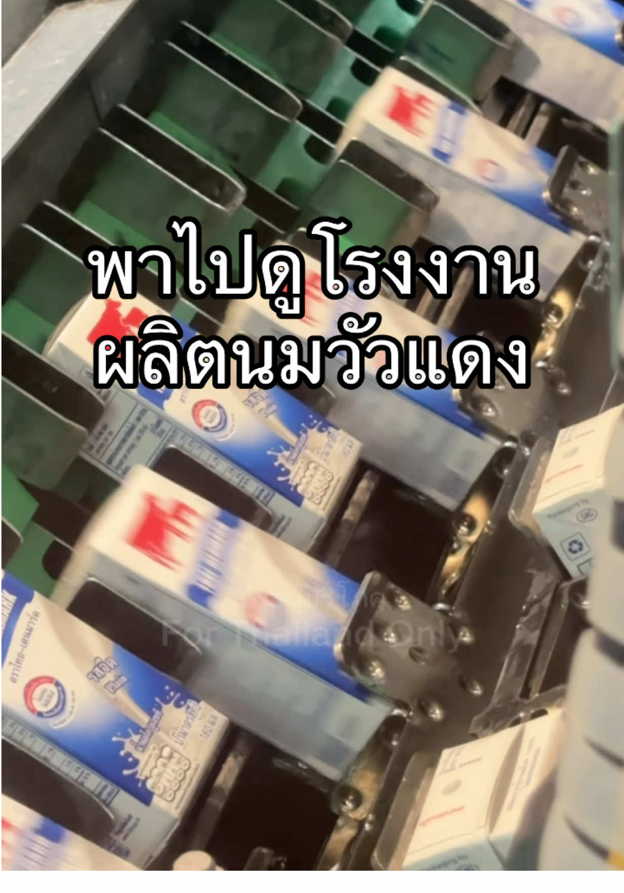 พาไปดูโรงงานนมไทยที่ไม่ผสมนมผง #ผู้บริโภค #นมวัวแดง #นมไทยเดนมาร์ค 